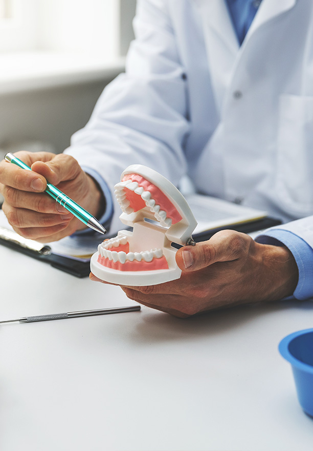 A dental professional examining a model mouth with a magnifying glass, possibly during a training session or demonstration.
